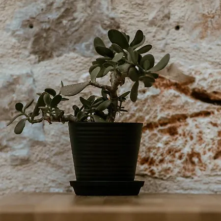 酒店 Boem Boutique *